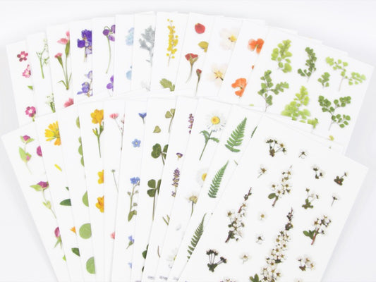 Appree Pressed Flower Stickers